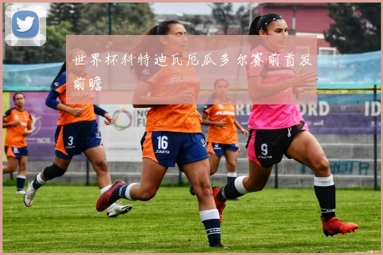 世界杯科特迪瓦厄瓜多尔赛前首发前瞻
