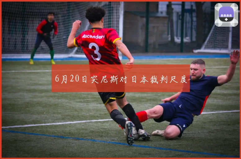 6月20日突尼斯对日本裁判尺度