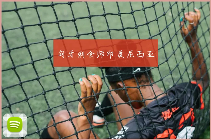 匈牙利会师印度尼西亚