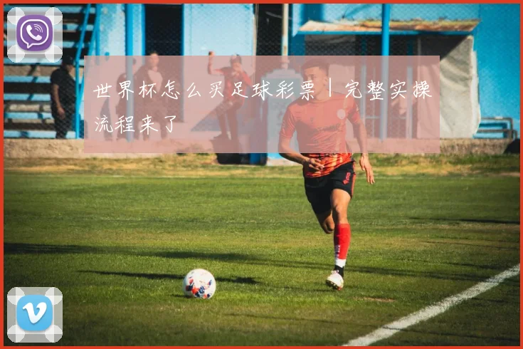 世界杯怎么买足球彩票｜完整实操流程来了