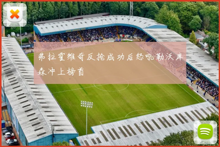 弗拉霍维奇反抢成功后怒吼勒沃库森冲上榜首