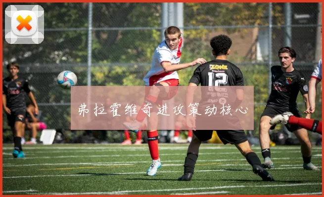 弗拉霍维奇进攻策动核心