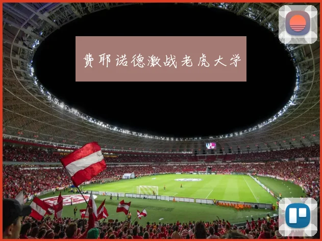 费耶诺德激战老虎大学