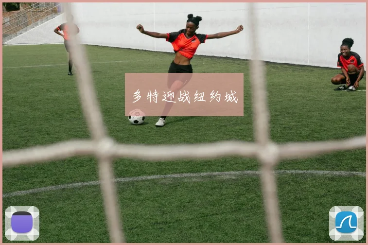 多特迎战纽约城
